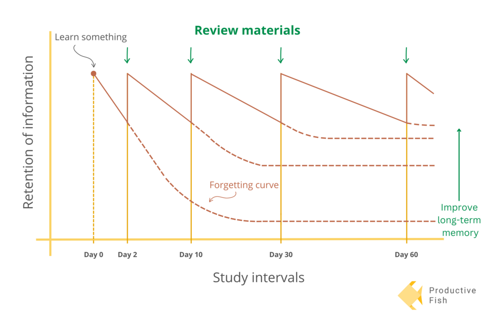 Diagram of a forgetting curve with review arrows at increasing intervals and retention rising after each review.